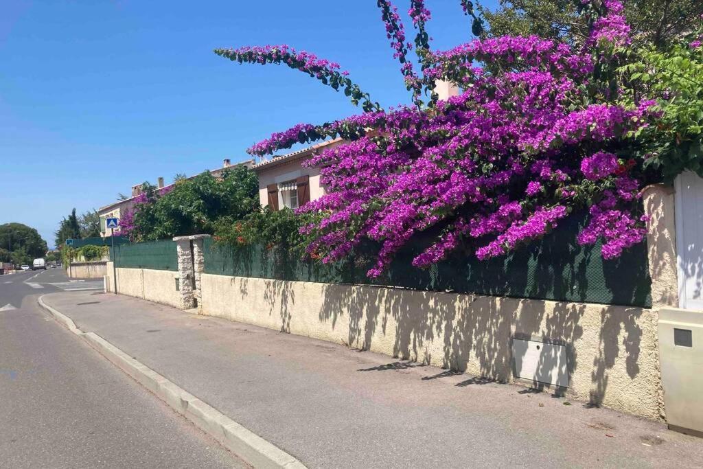 Magnifique Villa Avec Piscine Villeneuve-les-Maguelonne Εξωτερικό φωτογραφία